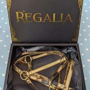 regalia gold open body harness