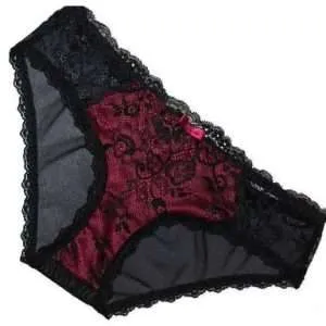 Lace and Mesh Knickers in Black and Red