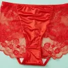 vintage-inspired-satin-and-lace-knickers Vintage-inspired red satin and lace lingerie set against a light teal background, showcasing the high-waisted fit